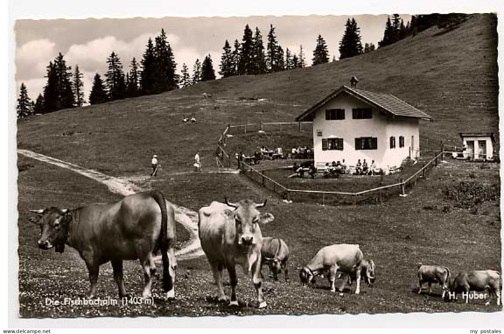 70047499 Garmisch-Partenkirchen Fischbachalm Garmisch-Partenkirchen