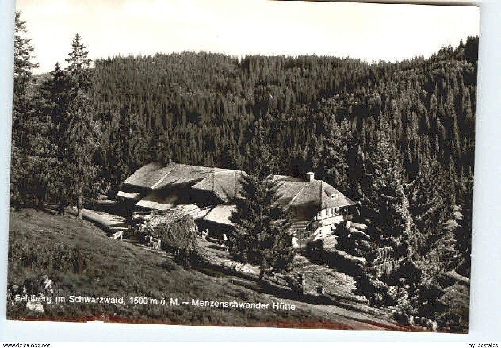 70055700 Feldberg Schwarzwald Feldberg