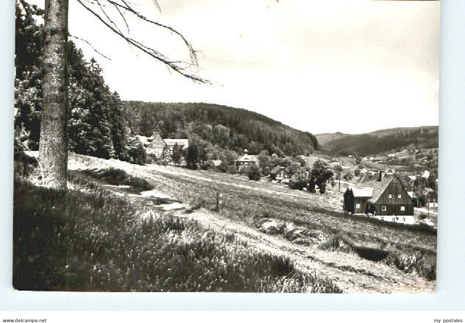 70056703 Altenberg Erzgebirge Altenberg (Erzgeb.) Rehefeld Geising