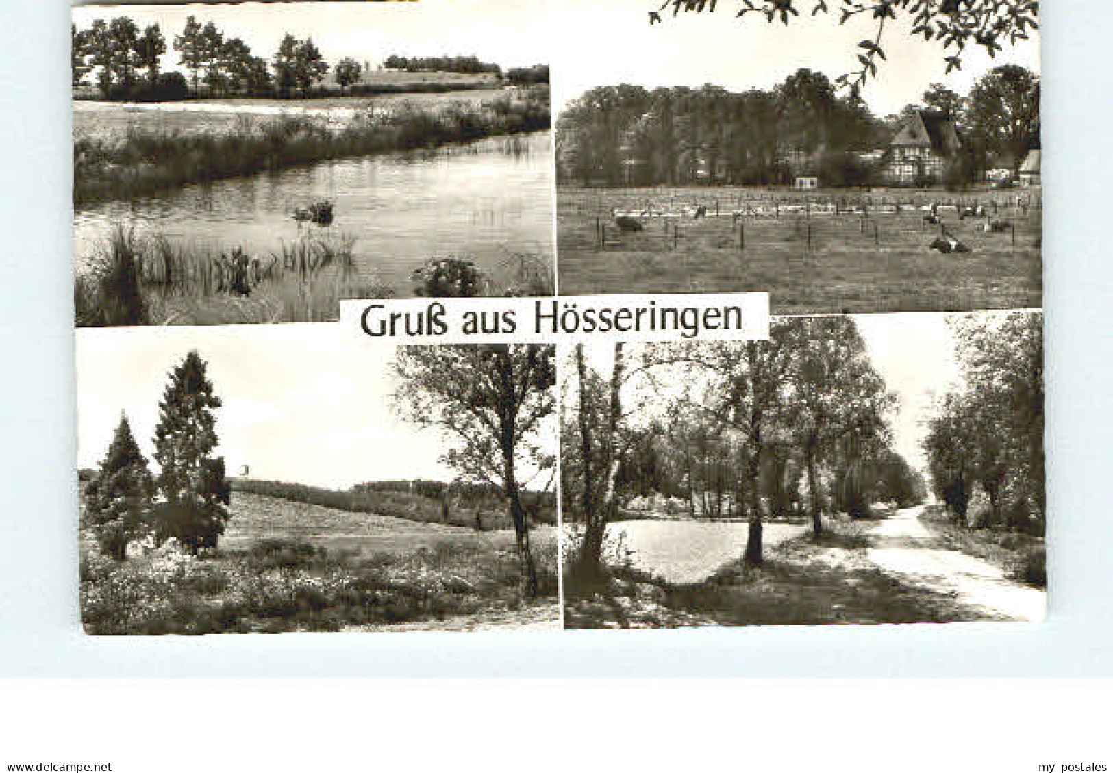 70058983 Uelzen Lueneburger Heide Uelzen Hoesseringen Uelzen