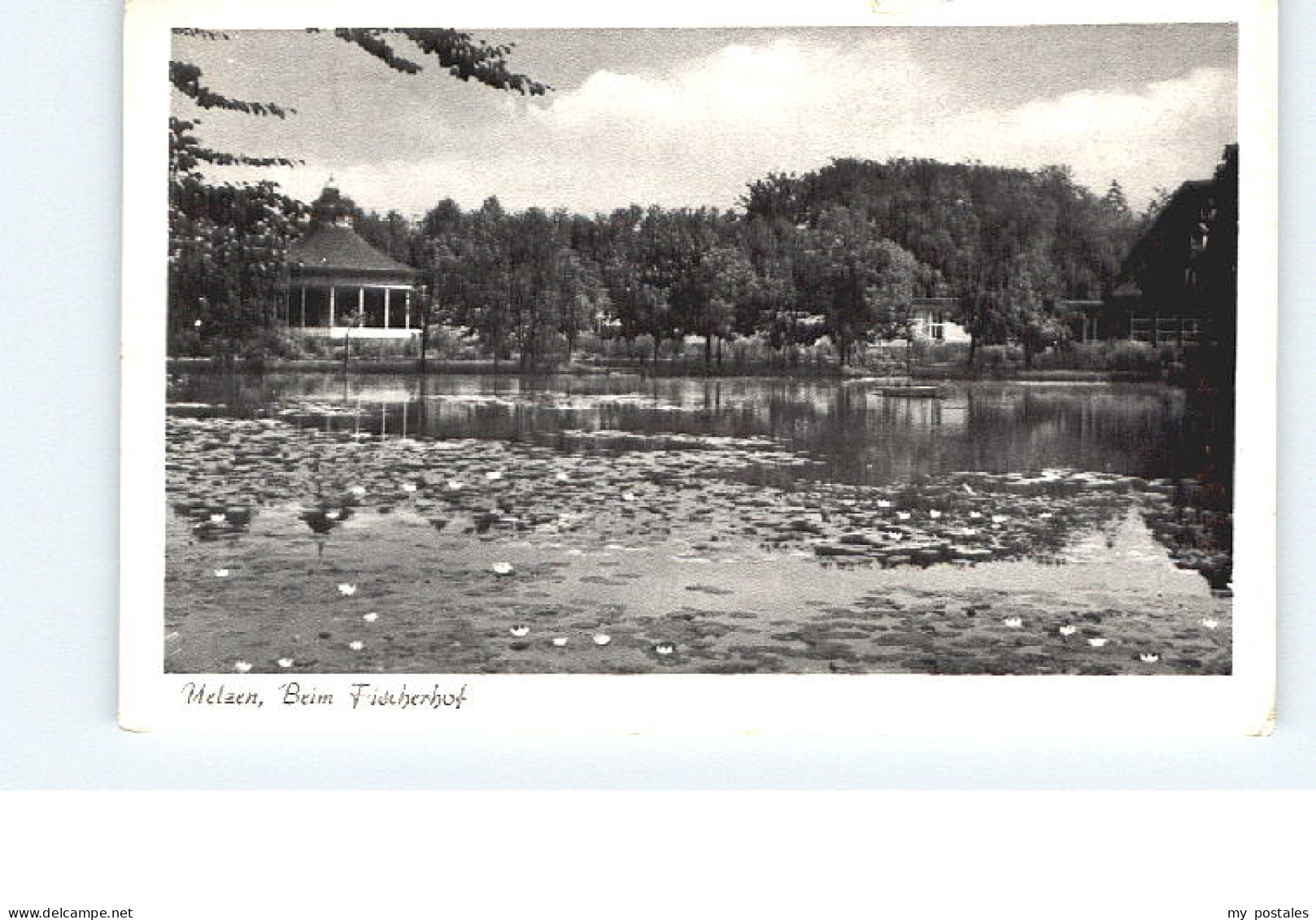 70059902 Uelzen Lueneburger Heide Uelzen  Uelzen