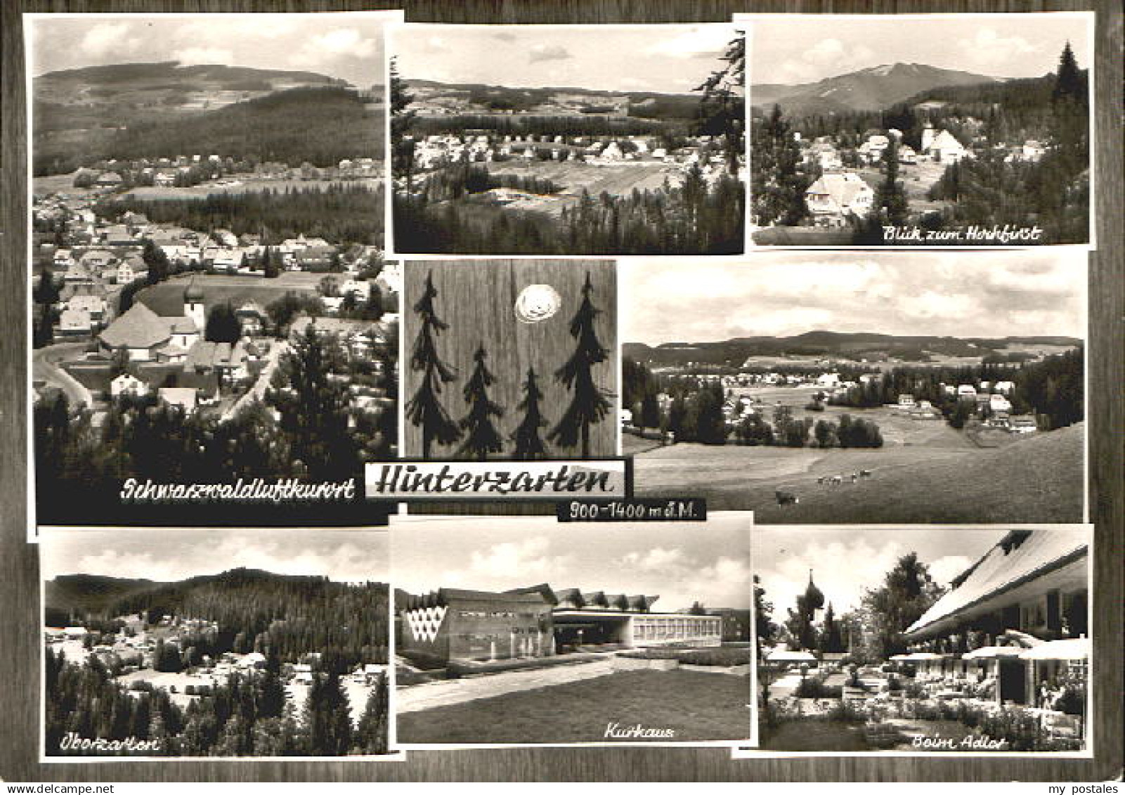 70060058 Hinterzarten Hinterzarten