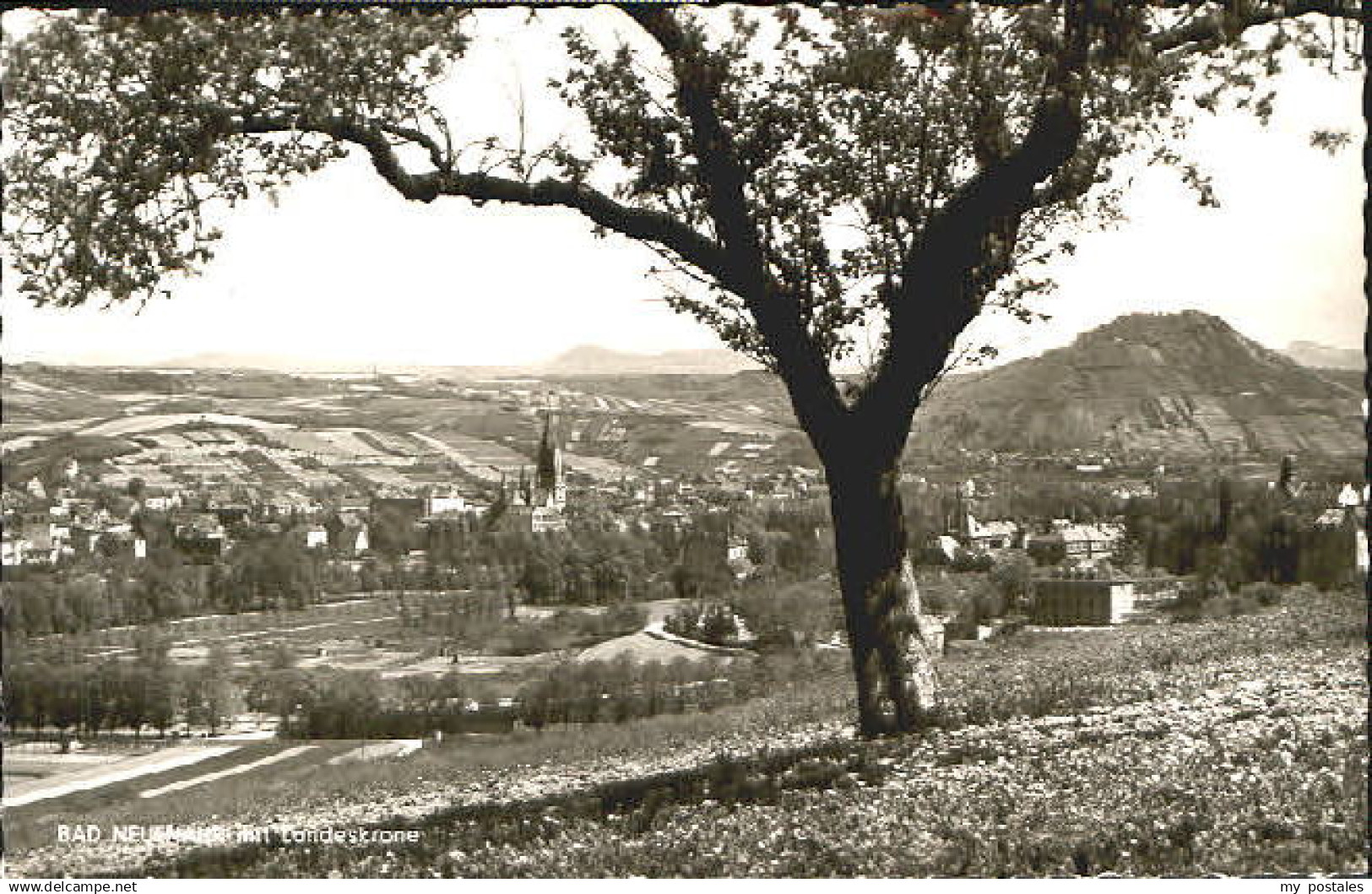 70060075 Bad Neuenahr-Ahrweiler Bad Neuenahr Ahrweiler