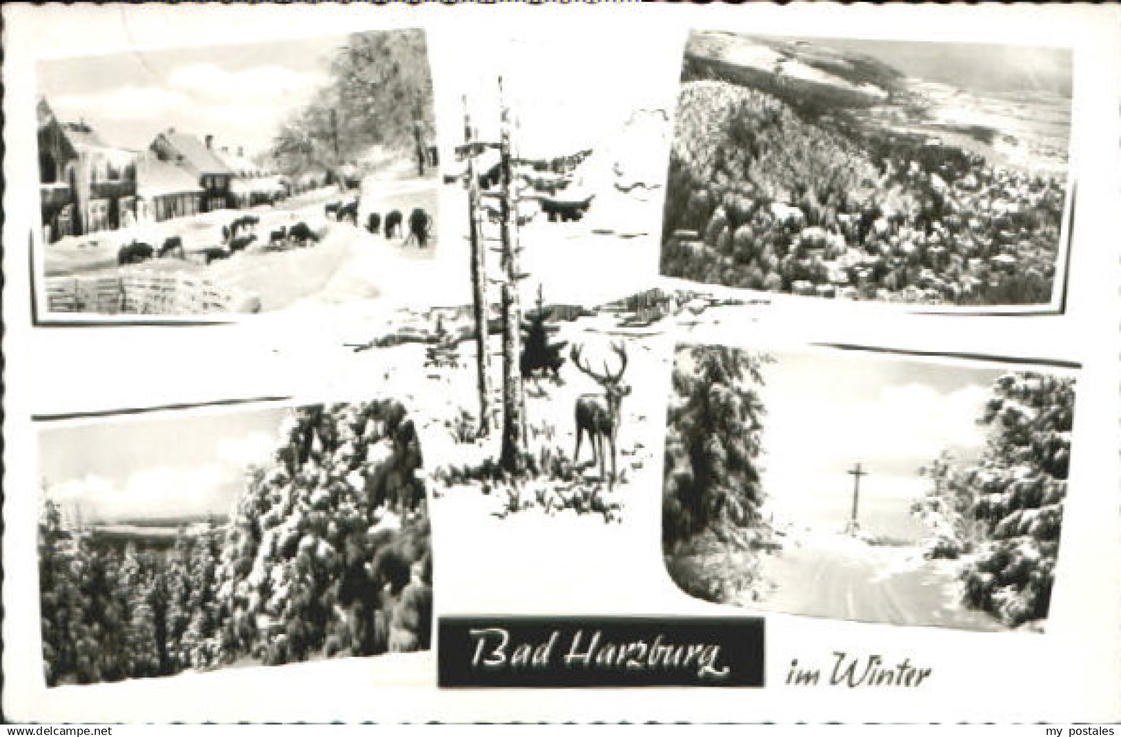 70081694 Bad Harzburg Bad Harzburg  x 1960 Bad Harzburg