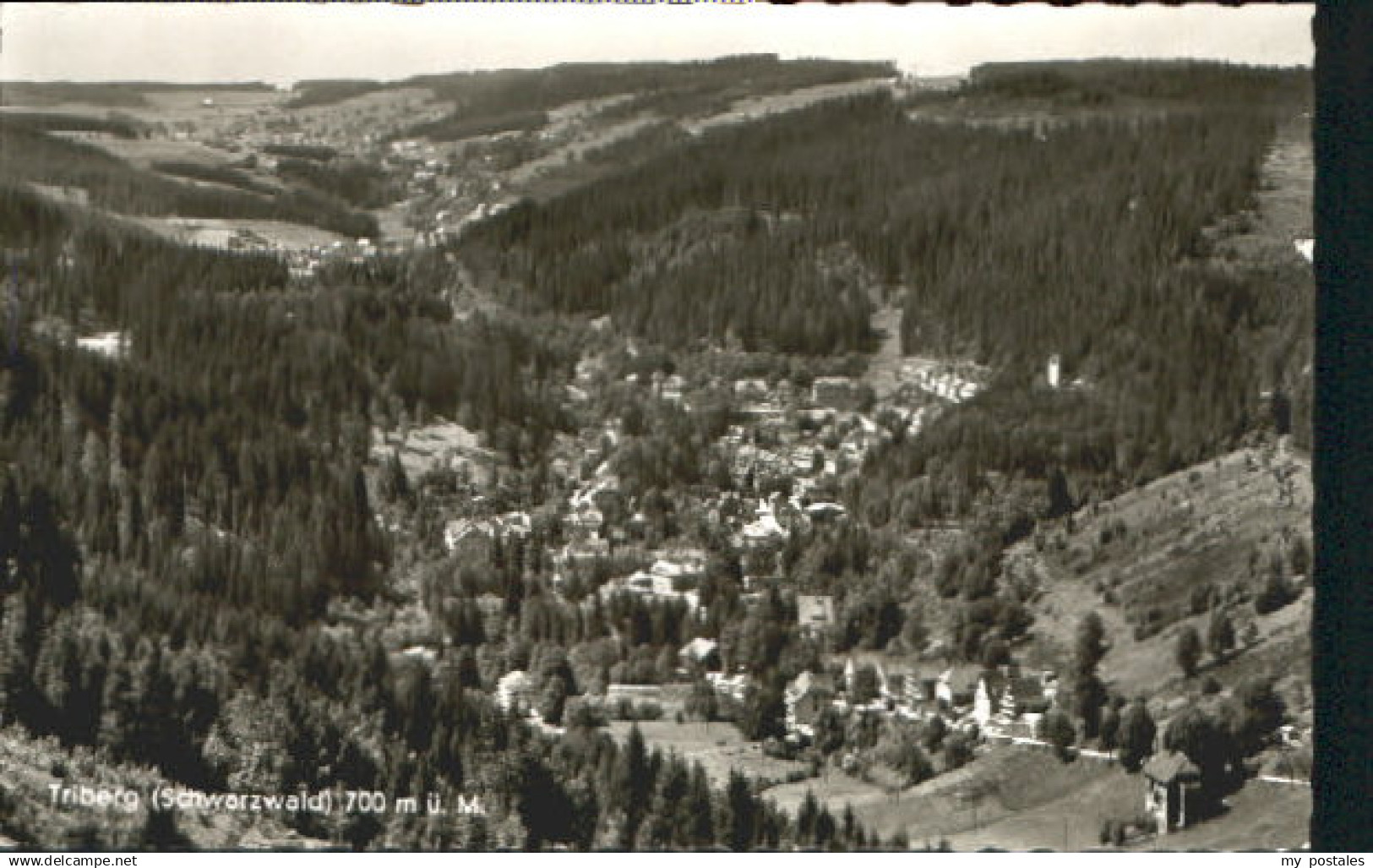 70081942 Triberg Triberg Schwarzwald  x 1960 Triberg