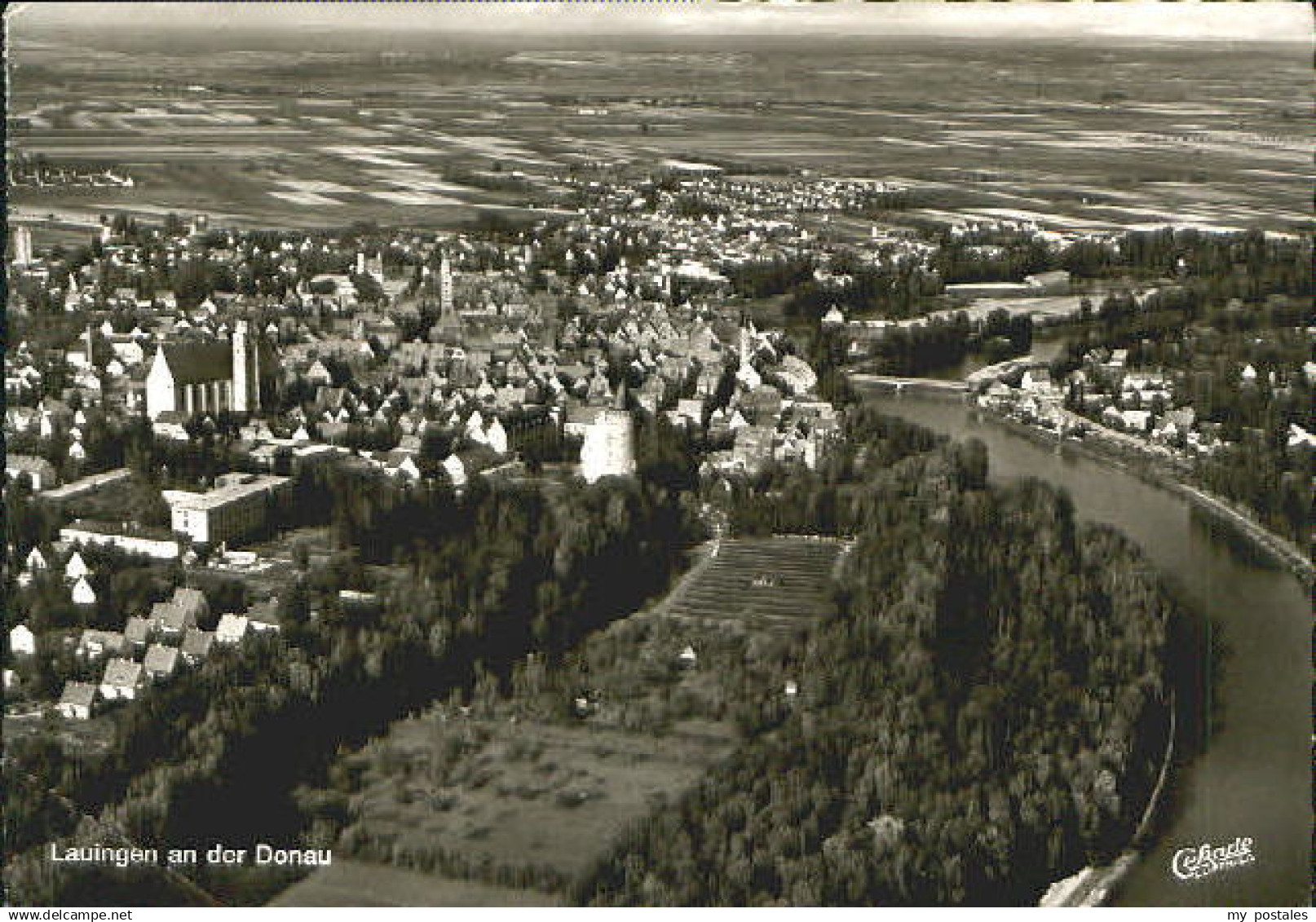 70085260 Lauingen Donau Lauingen Fliegeraufnahme x 1970