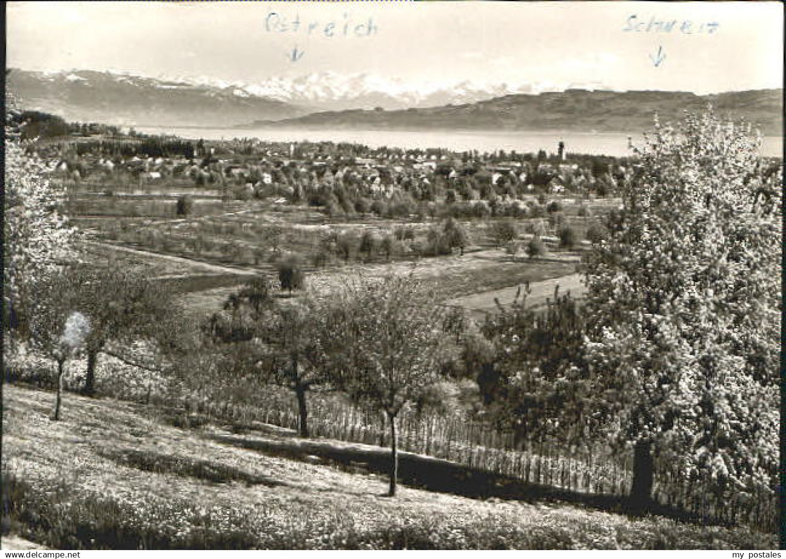 70086205 Berg Starnberg Berg Heim x 1965