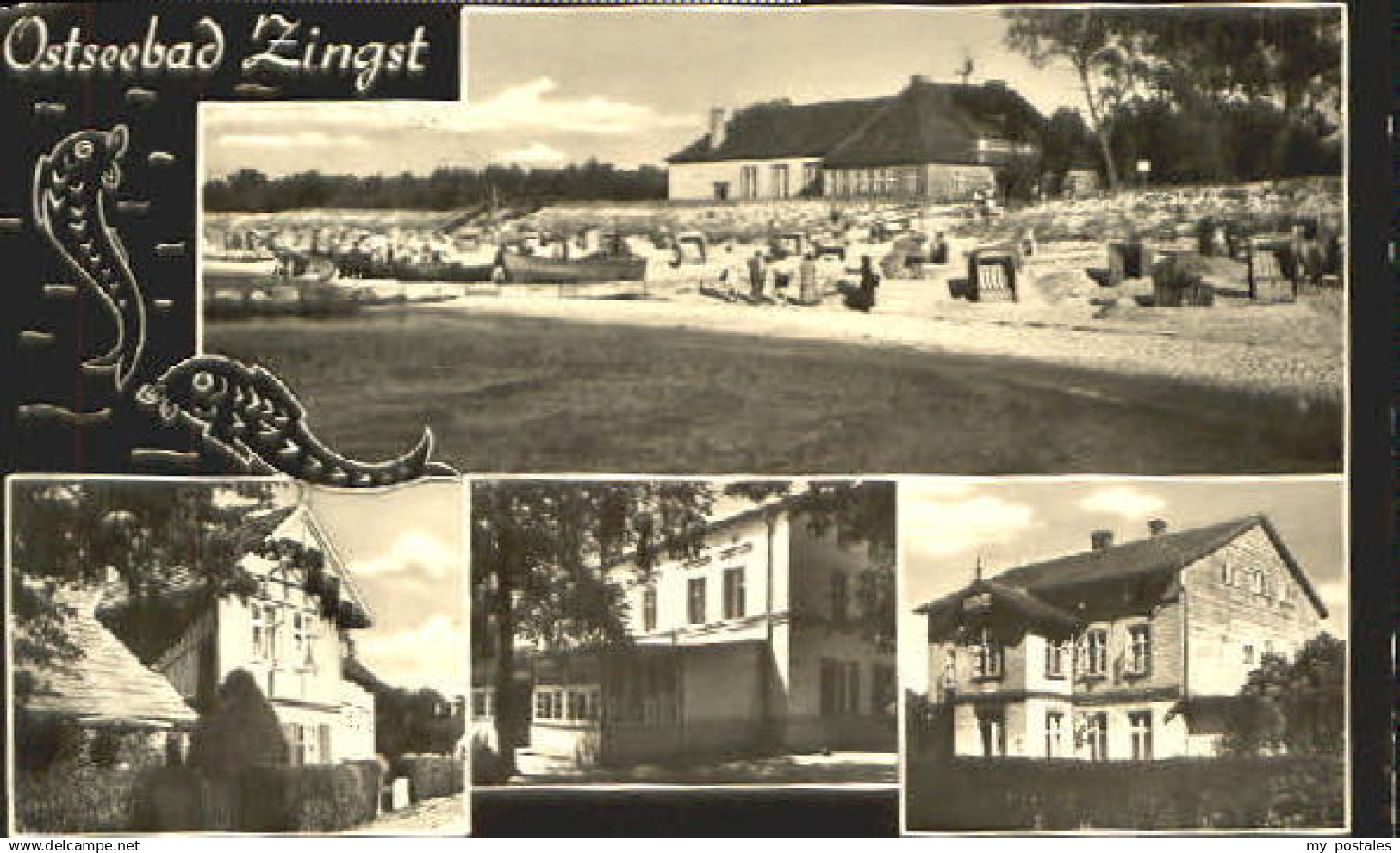 70087576 Zingst Ostseebad Zingst  x 1961