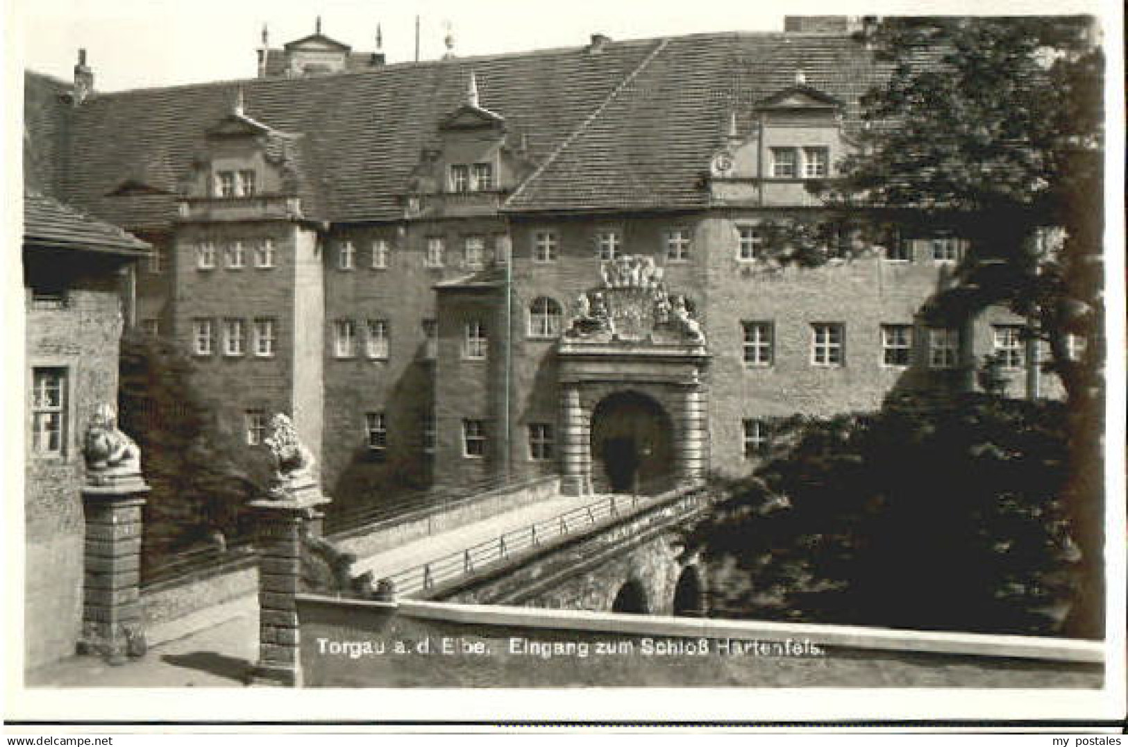 70097245 Torgau Torgau Schloss Hartenfels