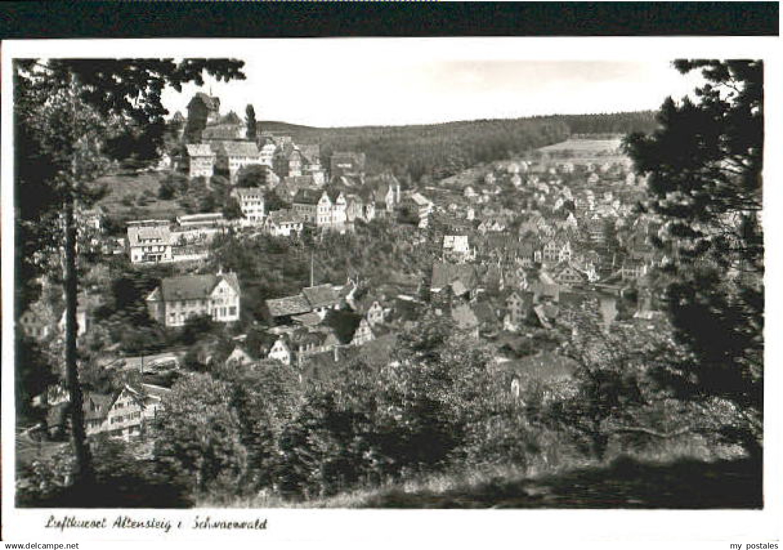 70100924 Altensteig Schwarzwald Altensteig