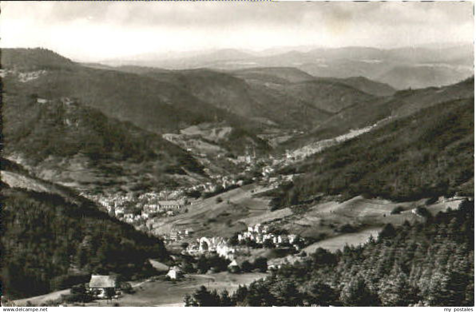 70101579 Schramberg Schramberg