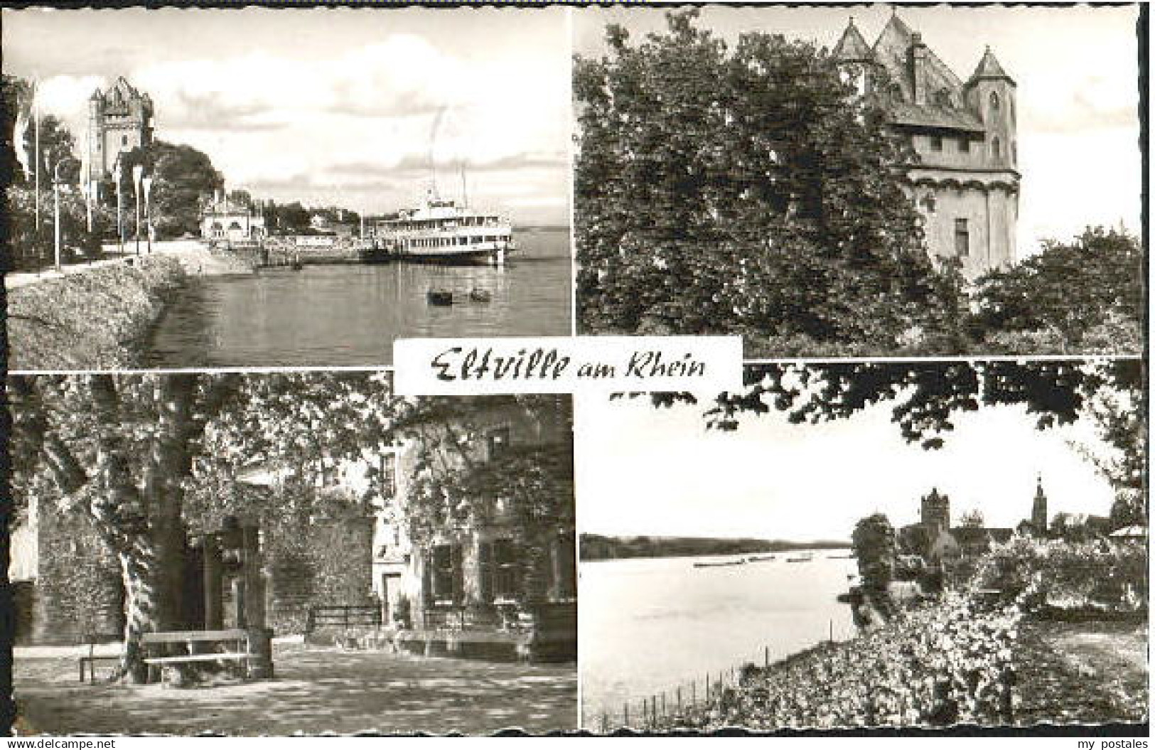 70105173 Eltville Rhein Eltville Rhein  x 1964