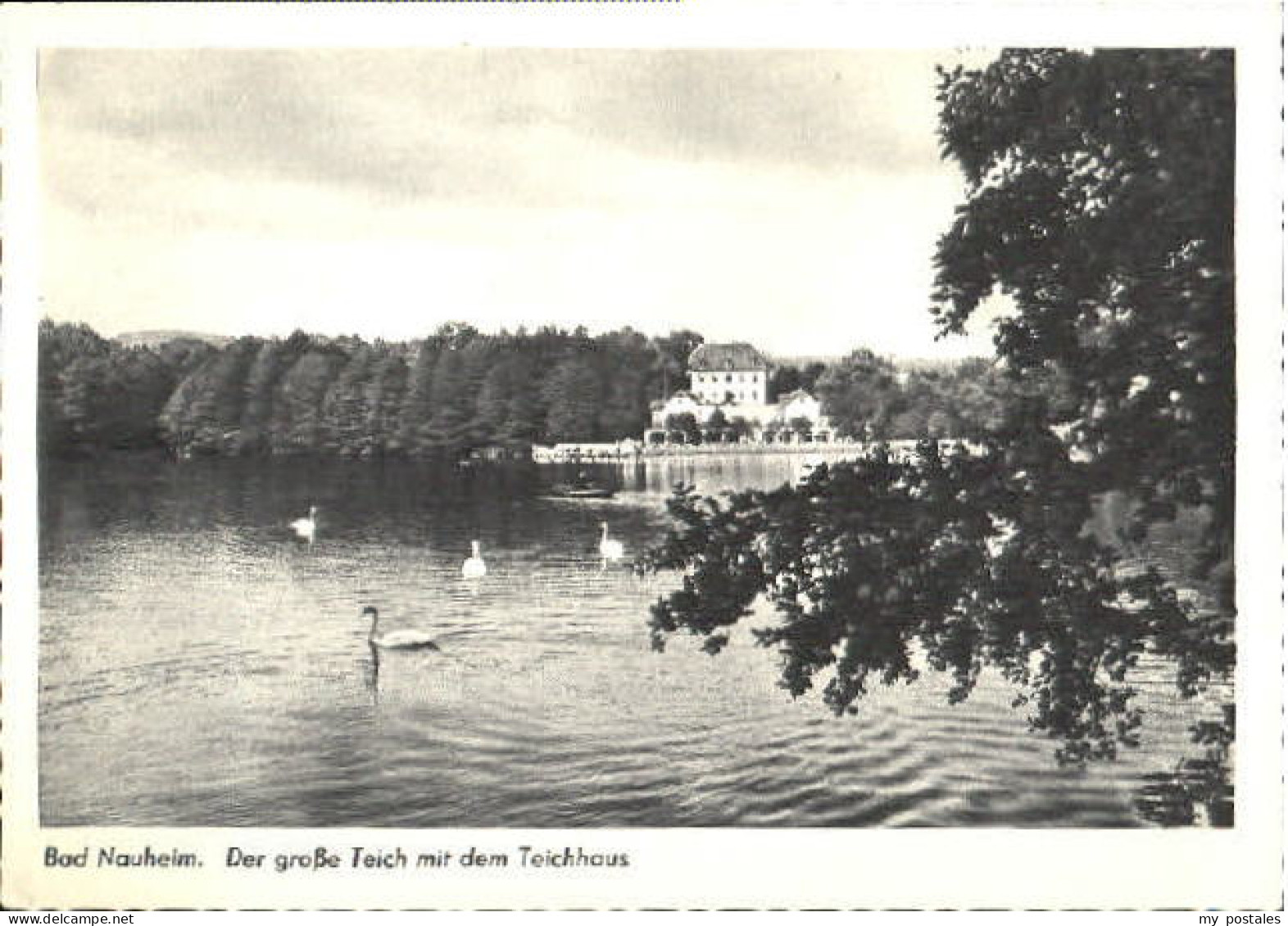 70105211 Bad Nauheim Bad Nauheim Teich   Bad Nauheim