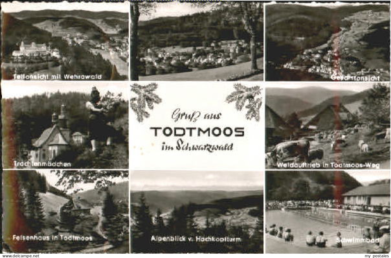 70111585 Todtmoos Todtmoos Bad Weidauftrieb x 1958 Todtmoos