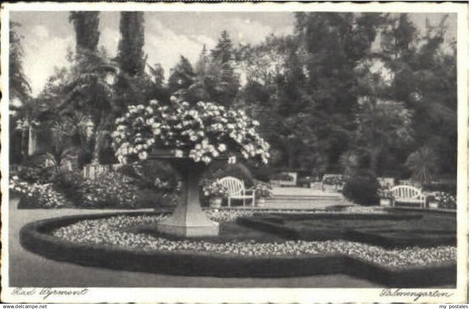 70120853 Bad Pyrmont Bad Pyrmont Palmengarten x 1931 Bad Pyrmont