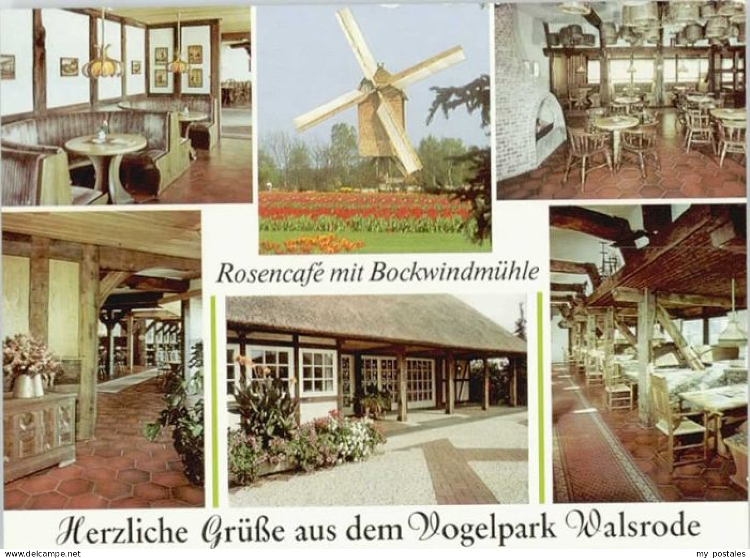 70130952 Walsrode Lueneburger Heide Walsrode Vogelpark * Walsrode Lueneburger He