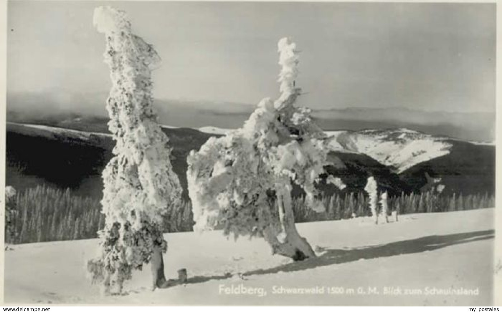 70136155 Feldberg Schwarzwald Feldberg Schwarzwald  *