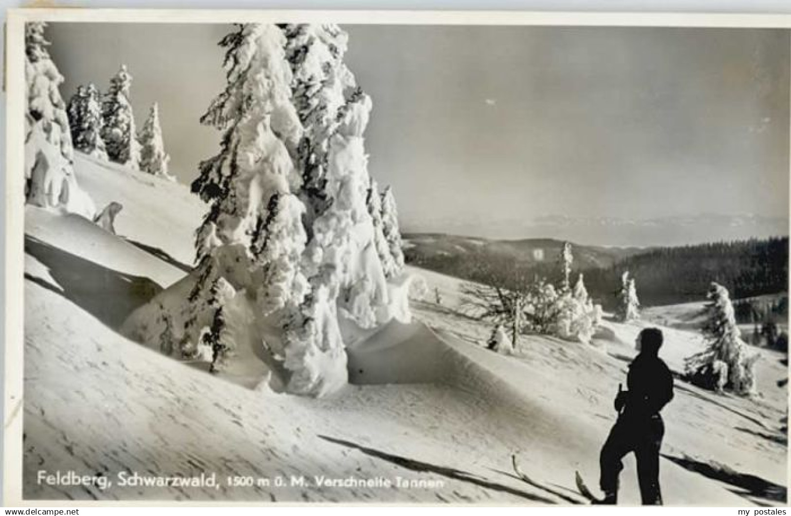 70136156 Feldberg Schwarzwald Feldberg Schwarzwald  *