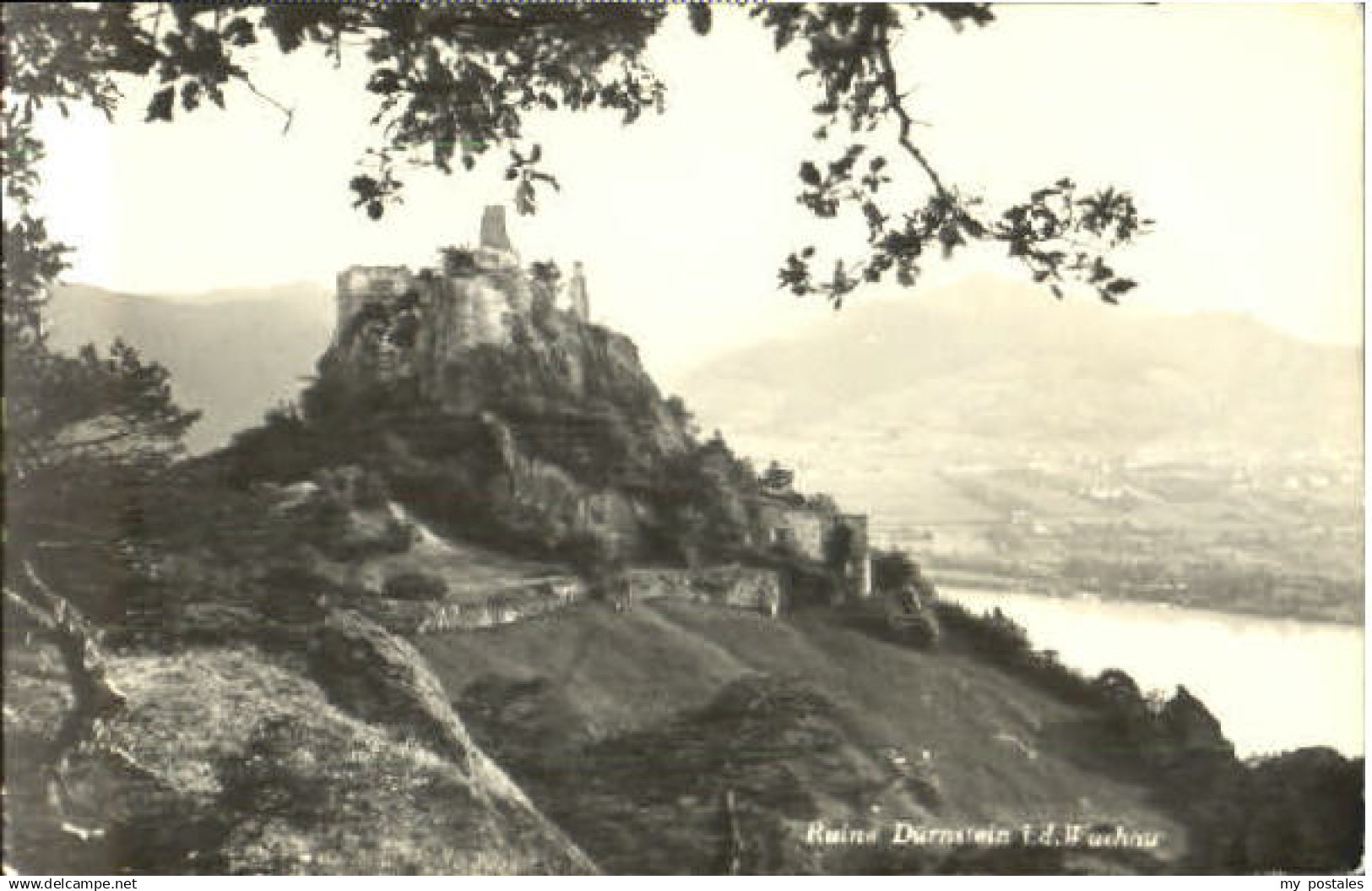 70588939 Duernstein Wachau Ruine Duernstein Wachau  x 1955