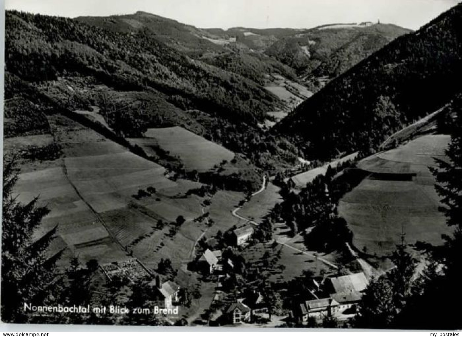 70659056 Furtwangen Gasthof Brendturm * Furtwangen