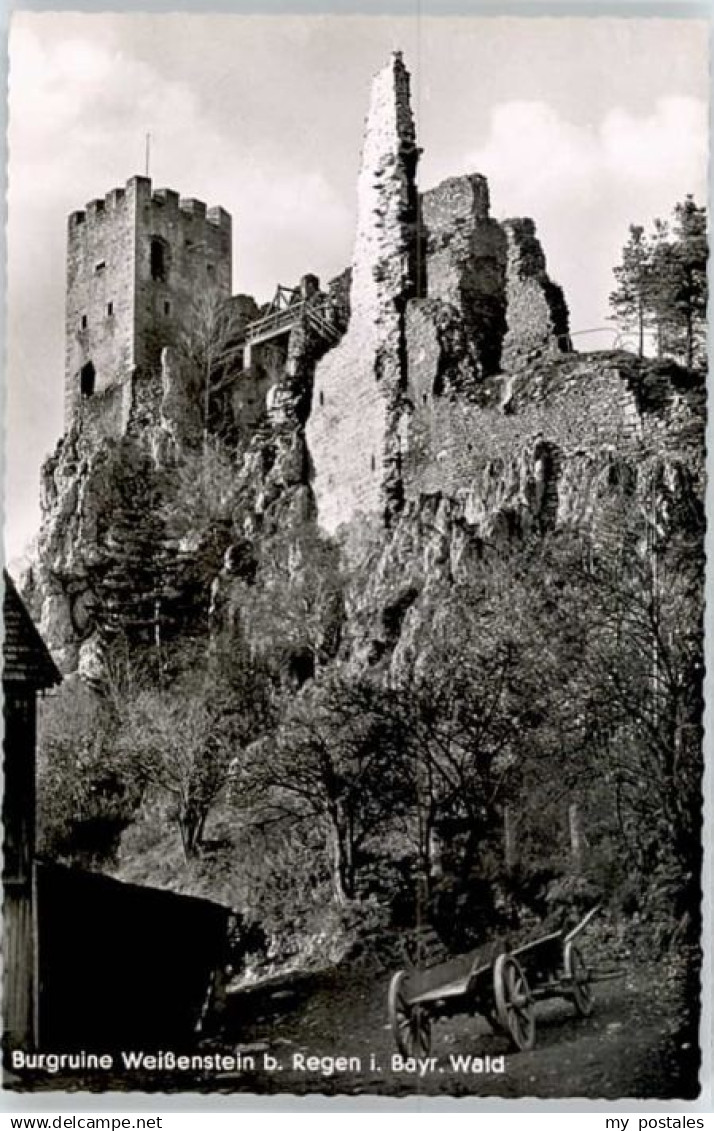 70660147 Regen Regen Ruine Weissenstein *