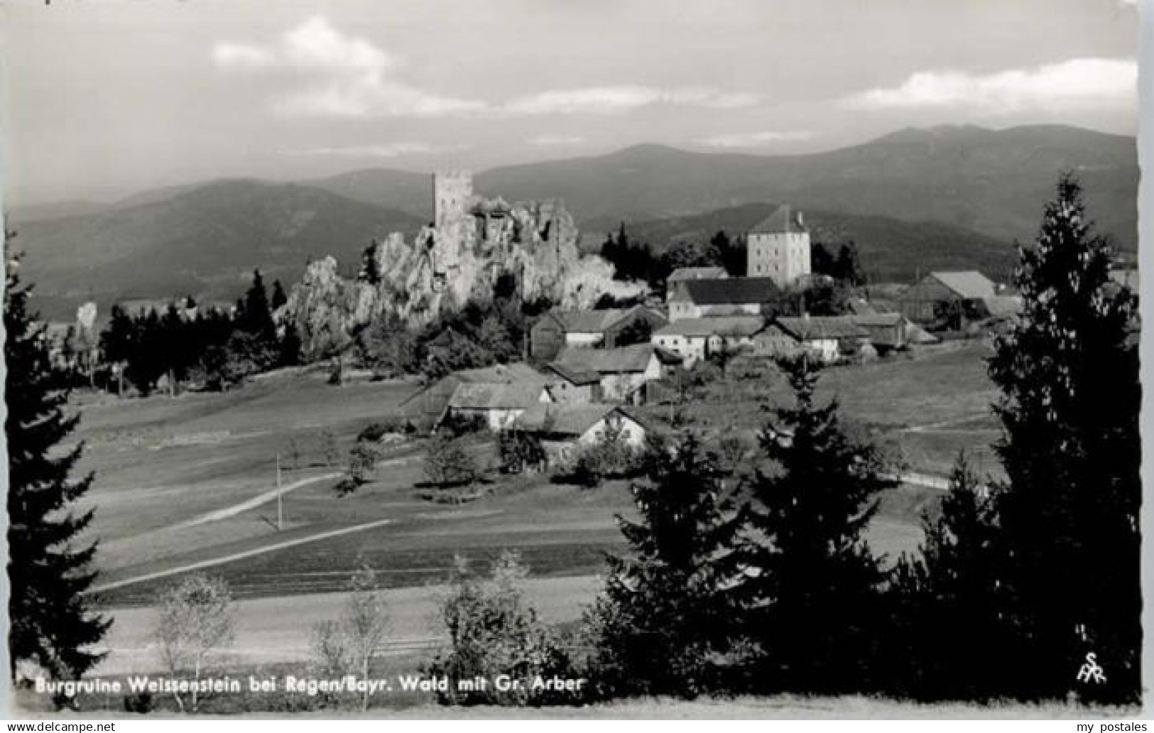 70660150 Regen Regen Burgruine Weissenstein *