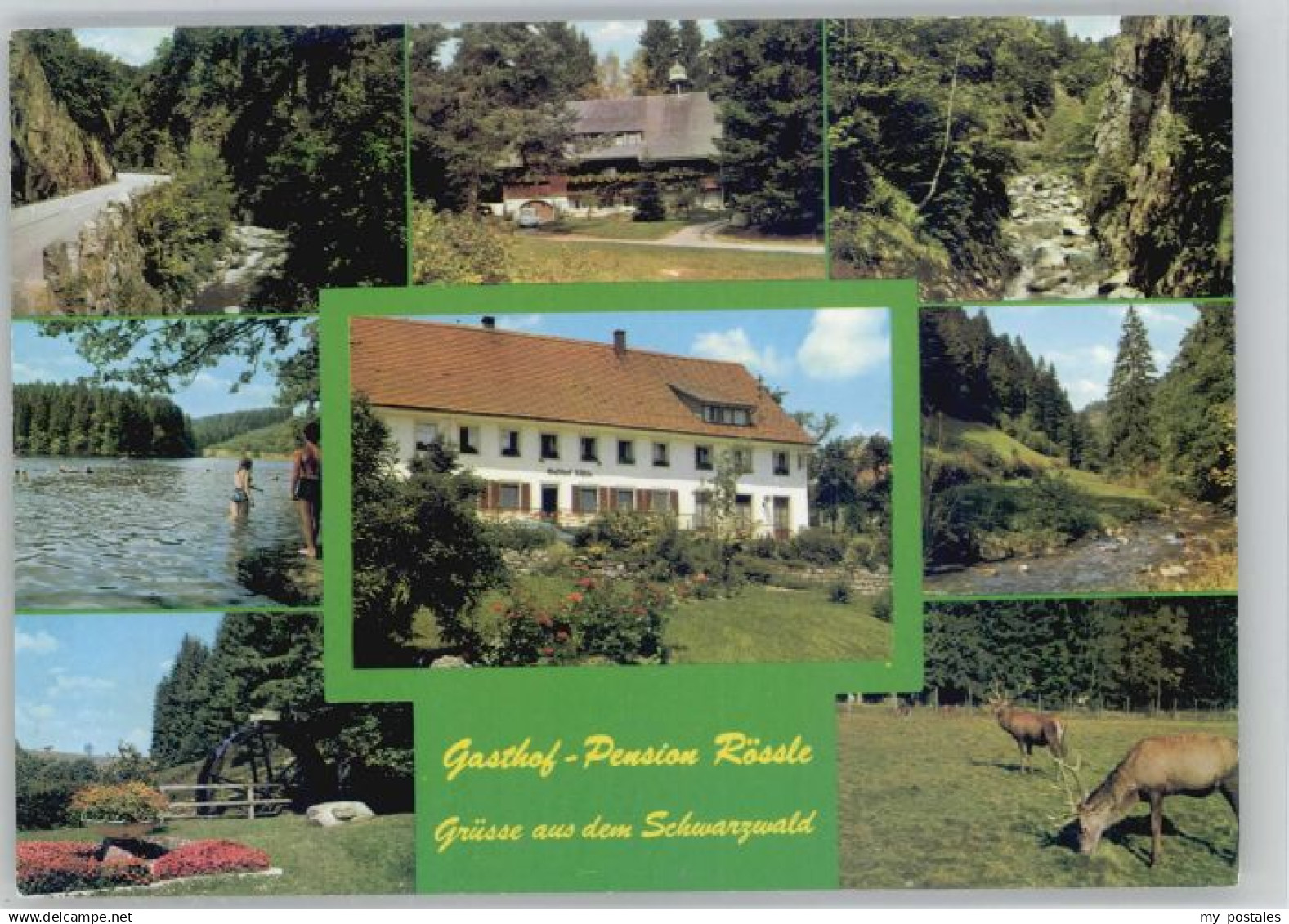 70671976 Bernau Schwarzwald Bernau Gasthof Pension Roessle x