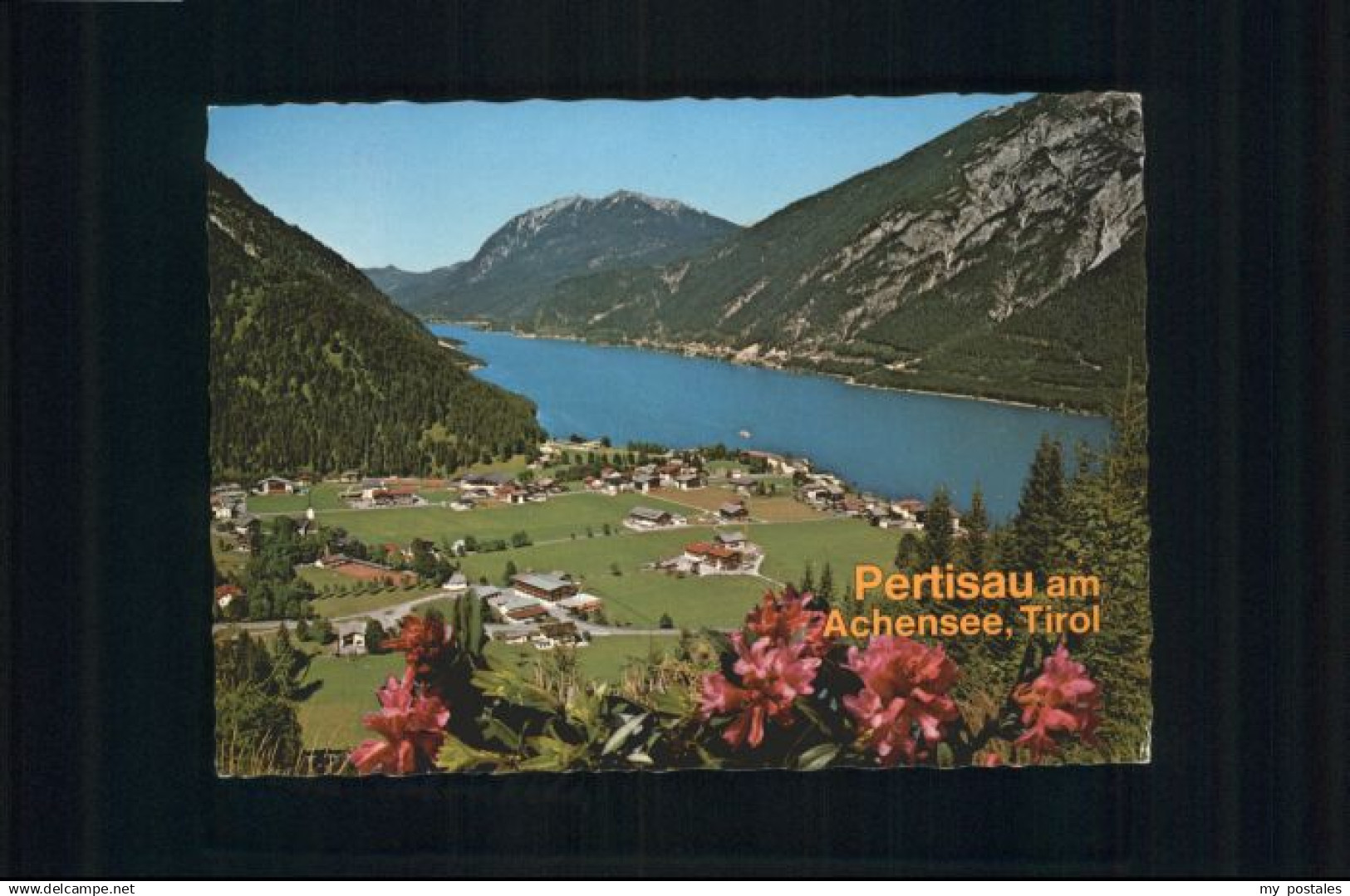 70873547 Pertisau Achensee Pertisau Achensee Tirol x