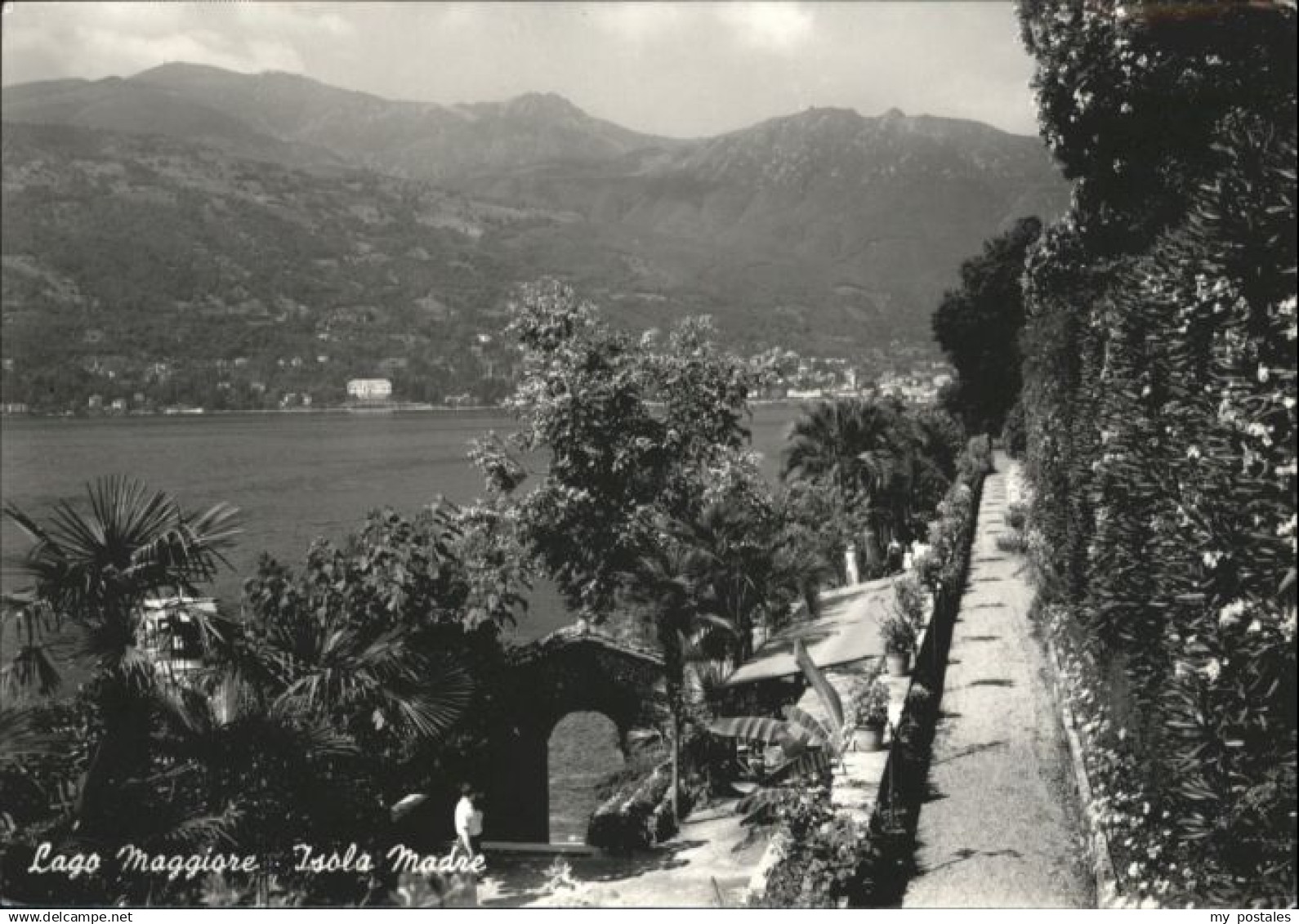 70877425 Isola Madre Lago Maggiore Isola Madre Lago Maggiore *