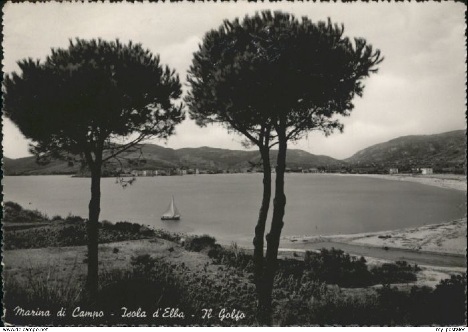 70877658 Marino di Campo Marino di Campo Isola Elba x Marino di Campo