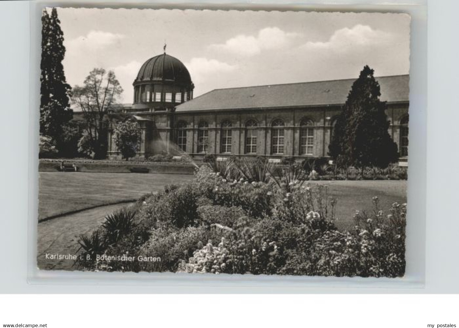 70889881 Karlsruhe Karlsruhe Baden Botanischer Garten x