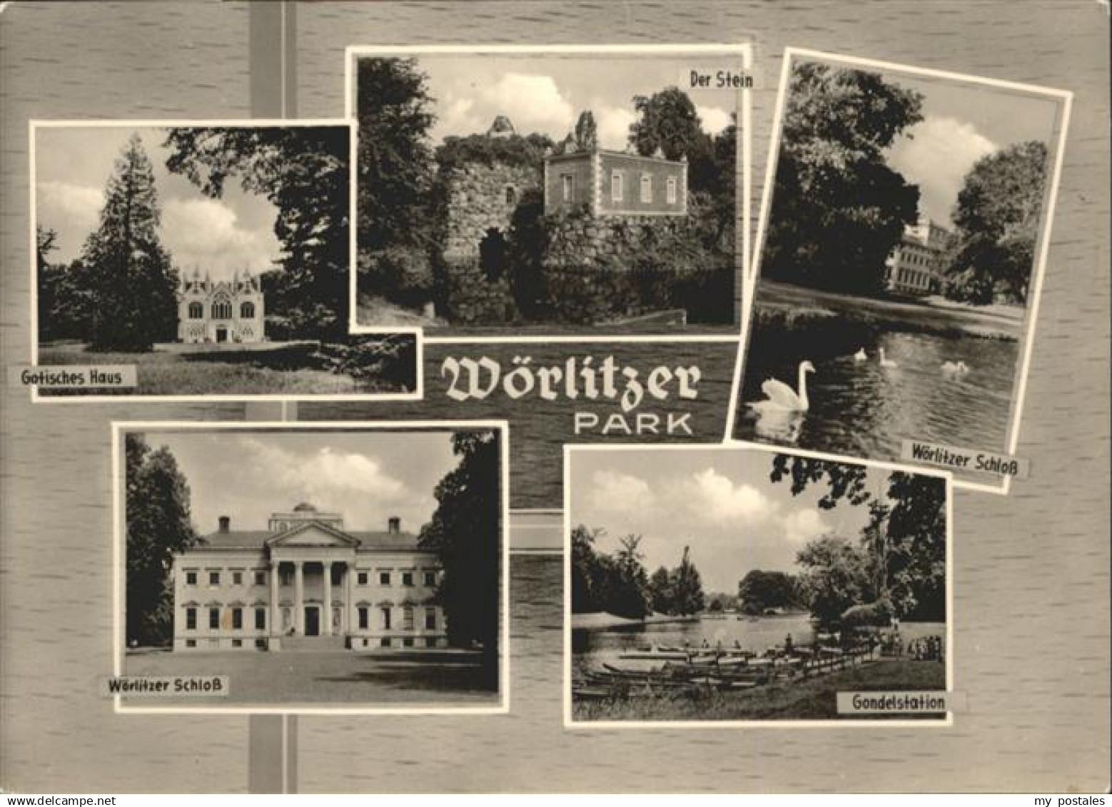 70925245 Woerlitz Woerlitz Gotisches Haus Schloss Schwan *