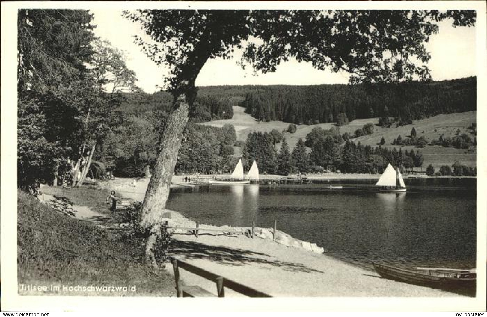 71370184 Titisee Hochschwarzwald Segelschiffe Titisee