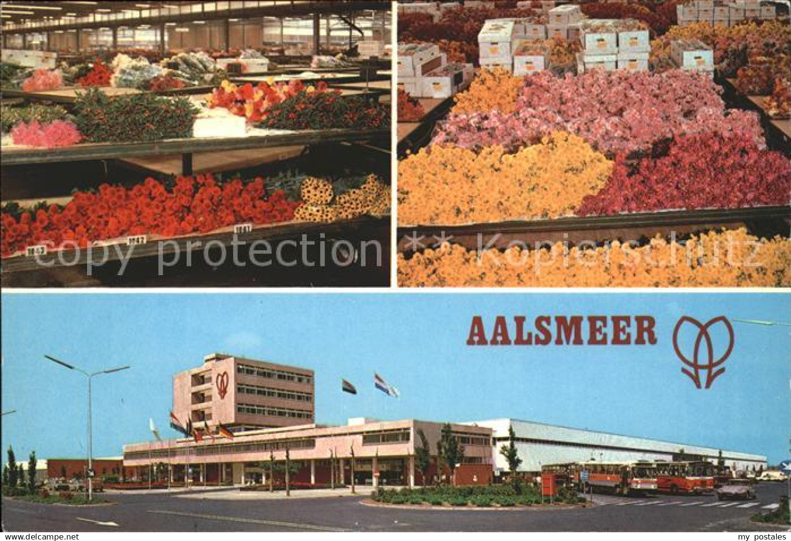 71669247 Aalsmeer Flower Market Blumenmarkt Aalsmeer