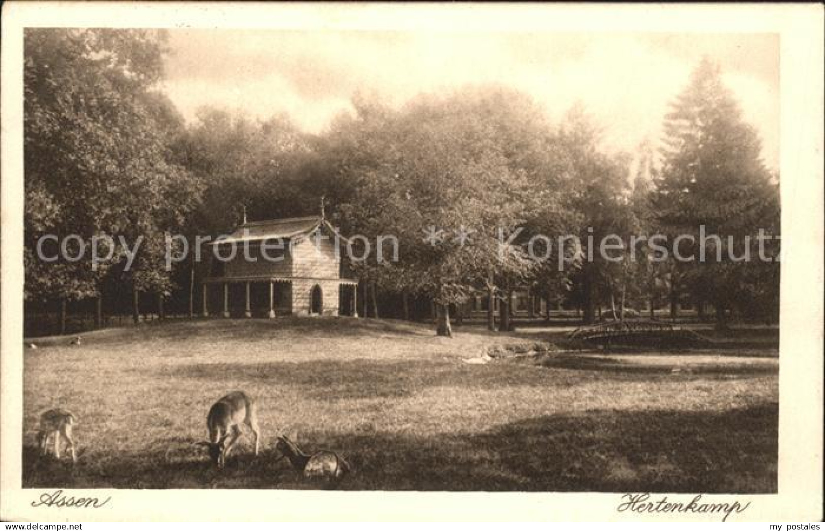 71804110 Assen Hertenkamp Wildgehege