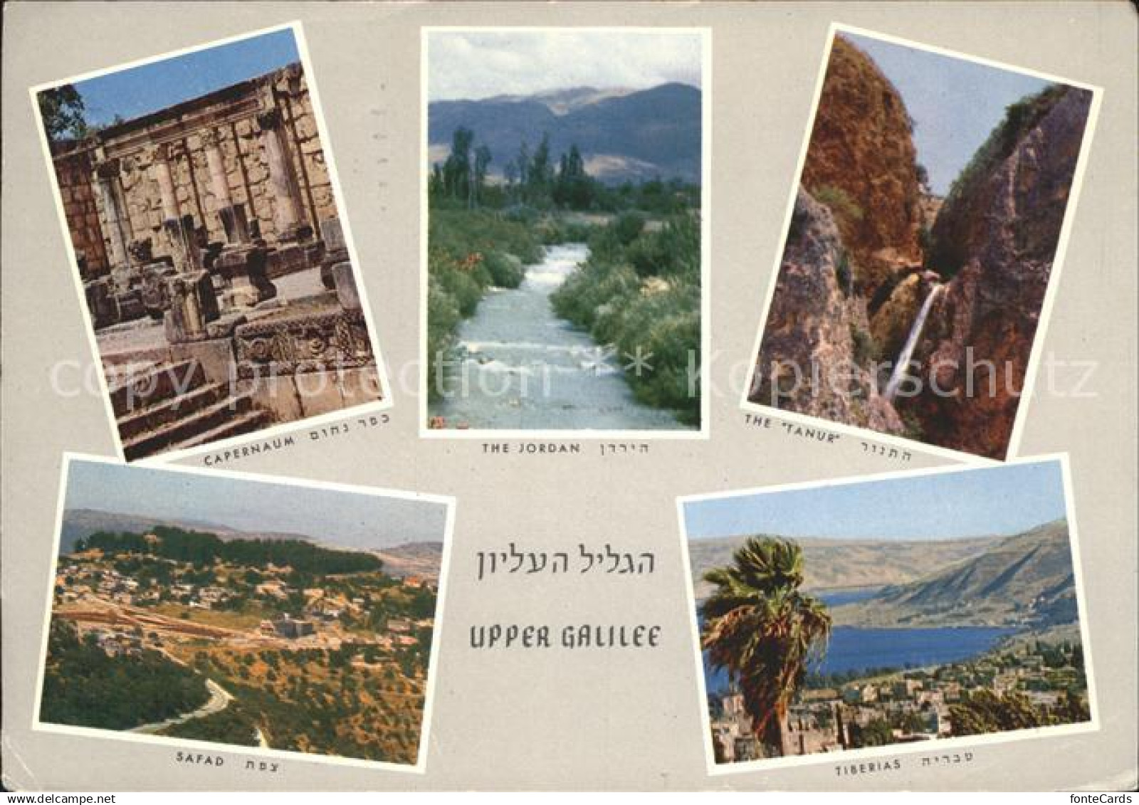 71835022 Israel Upper Galilee Israel