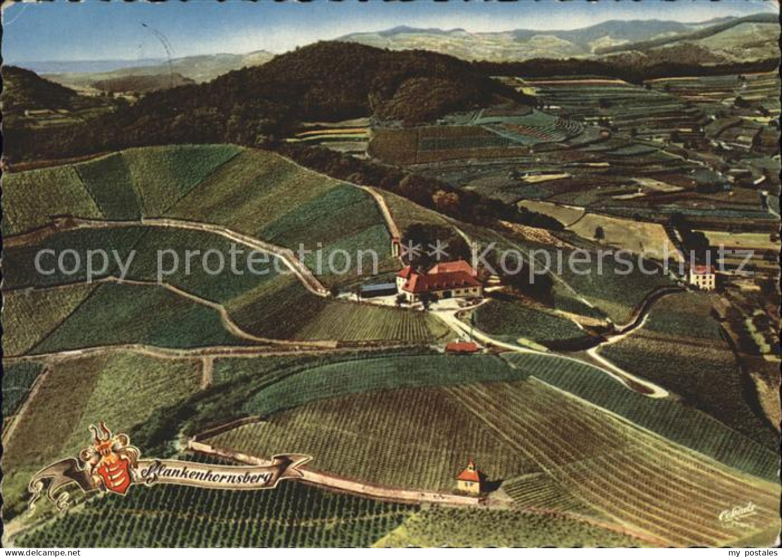 71838042 Ihringen Blankenhornsberg Weingut Ihringen