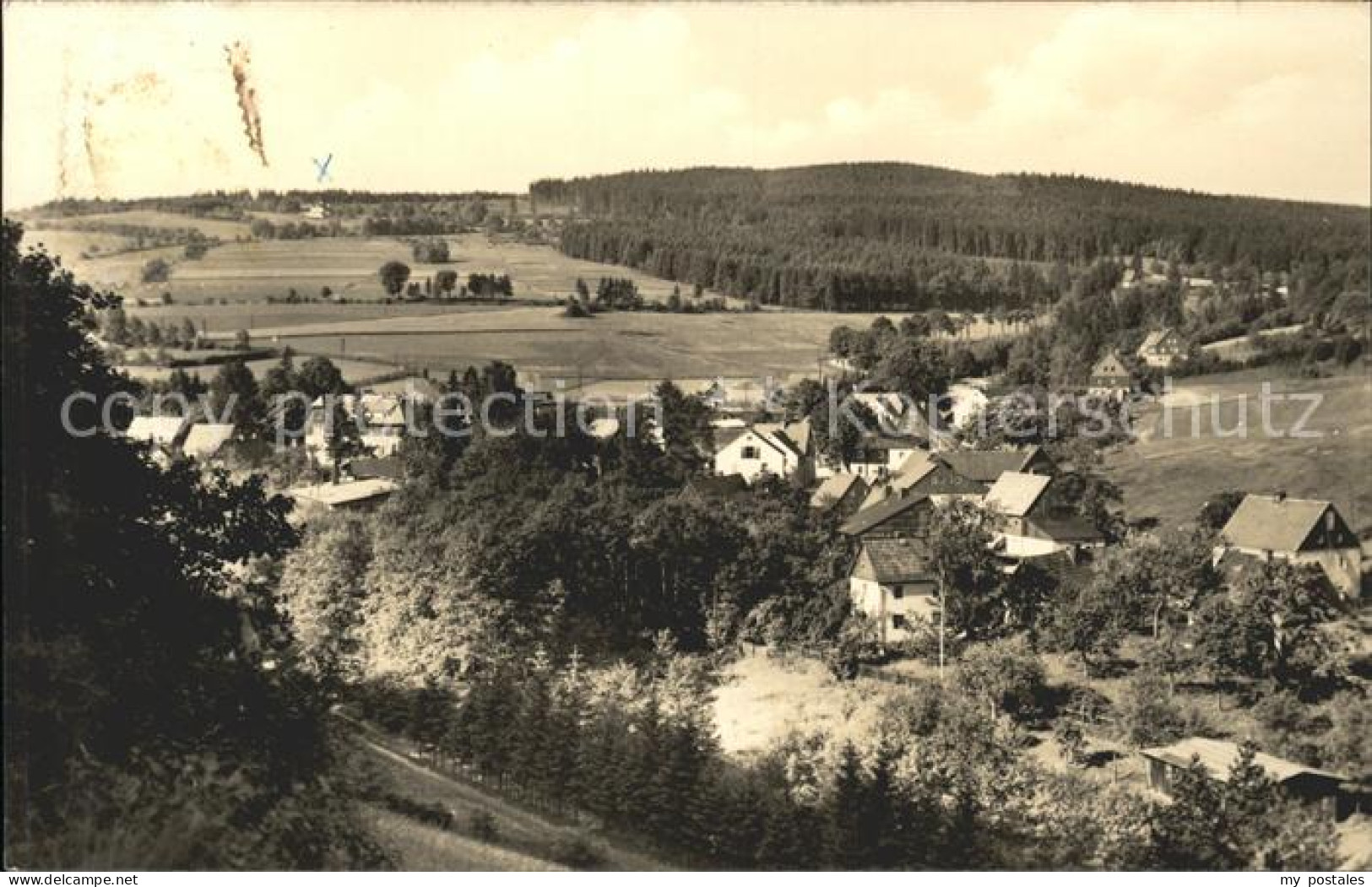 71874606 Geising Erzgebirge  Geising