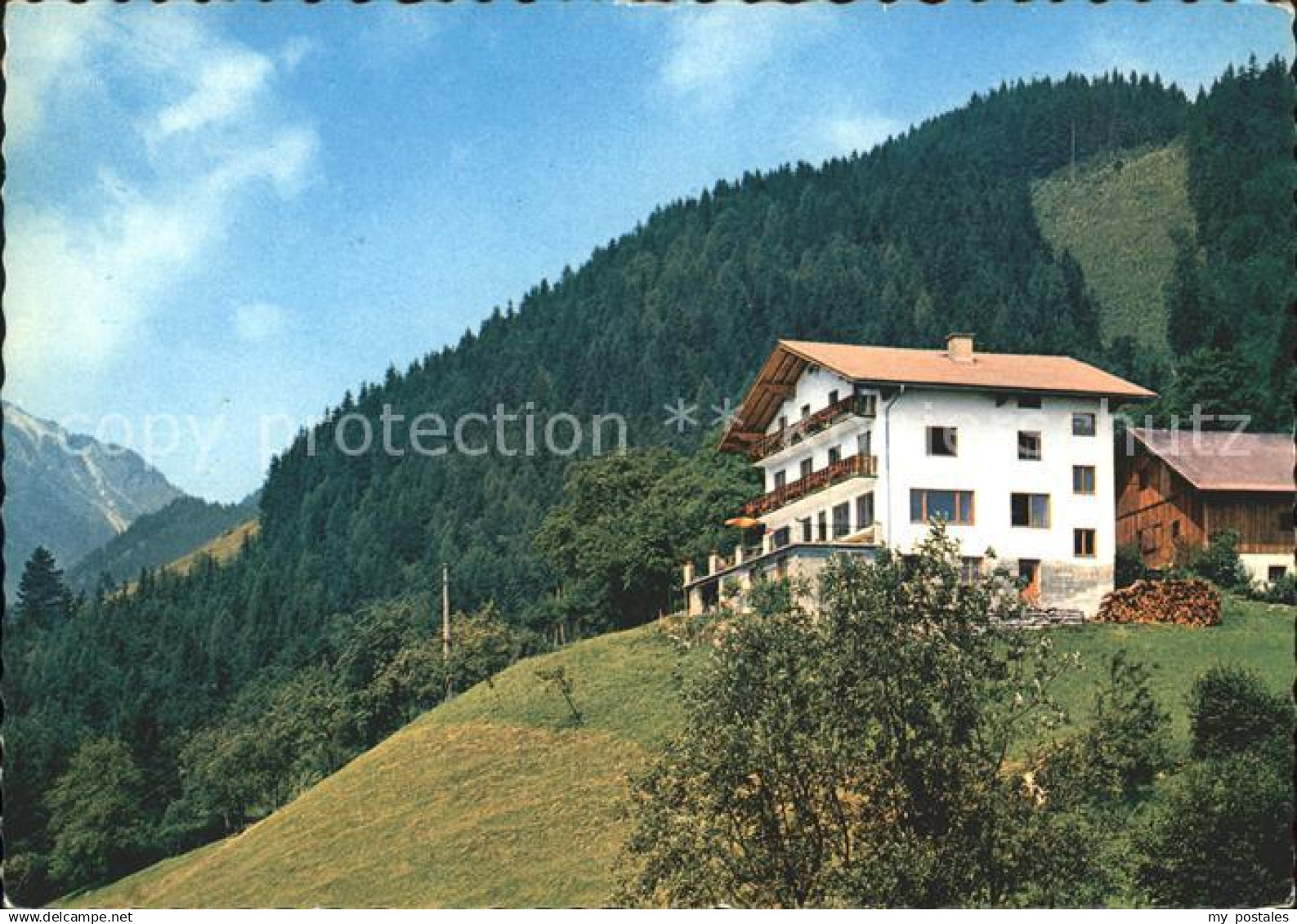 71909318 Kuchl Bergpension Hochschaufler