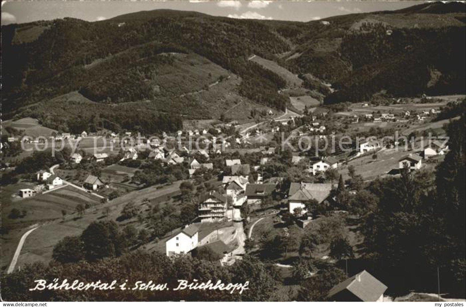 71913794 Buehlertal  Buehlertal