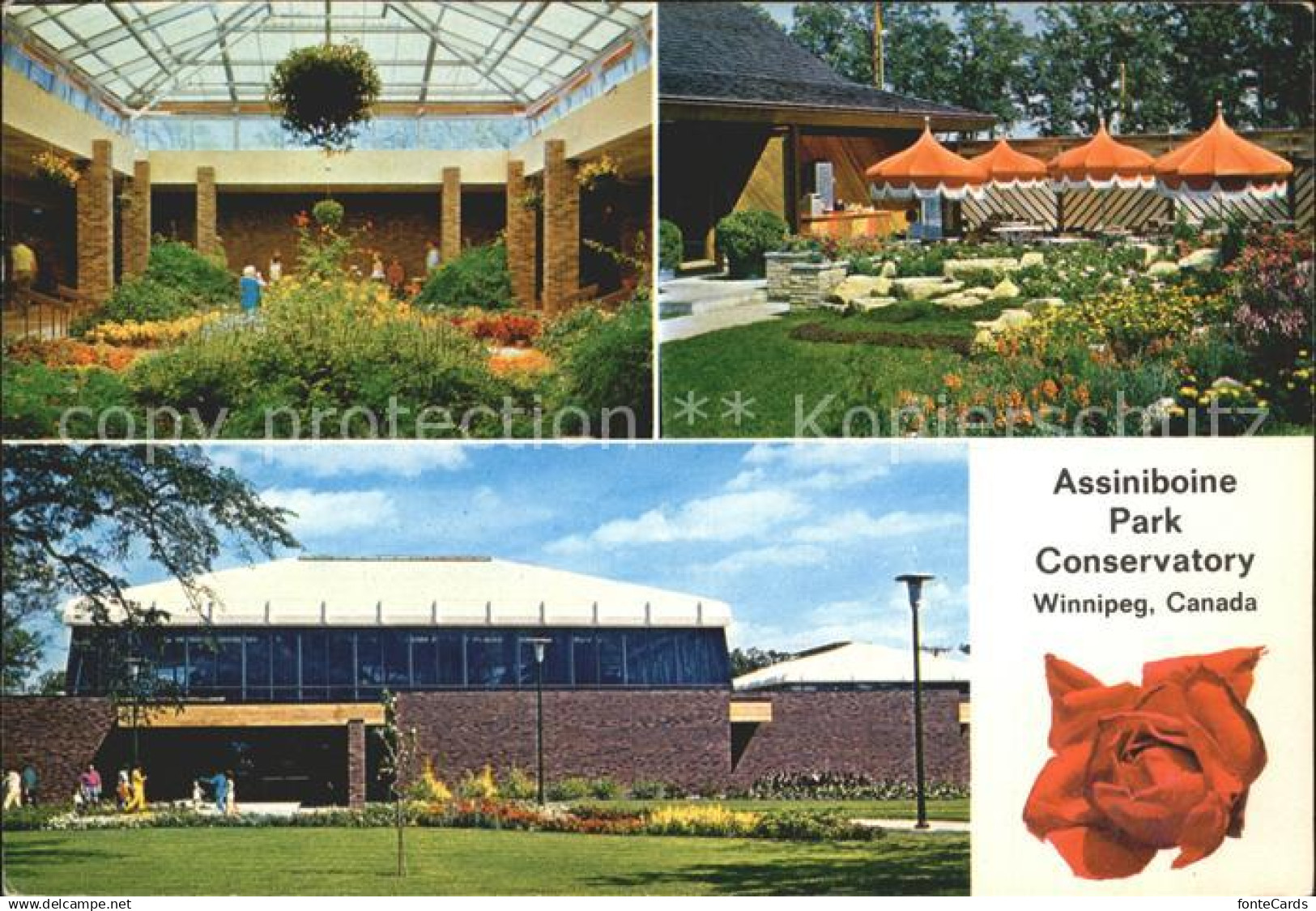 71935328 Winnipeg Assiniboine Park Conservatory  Winnipeg