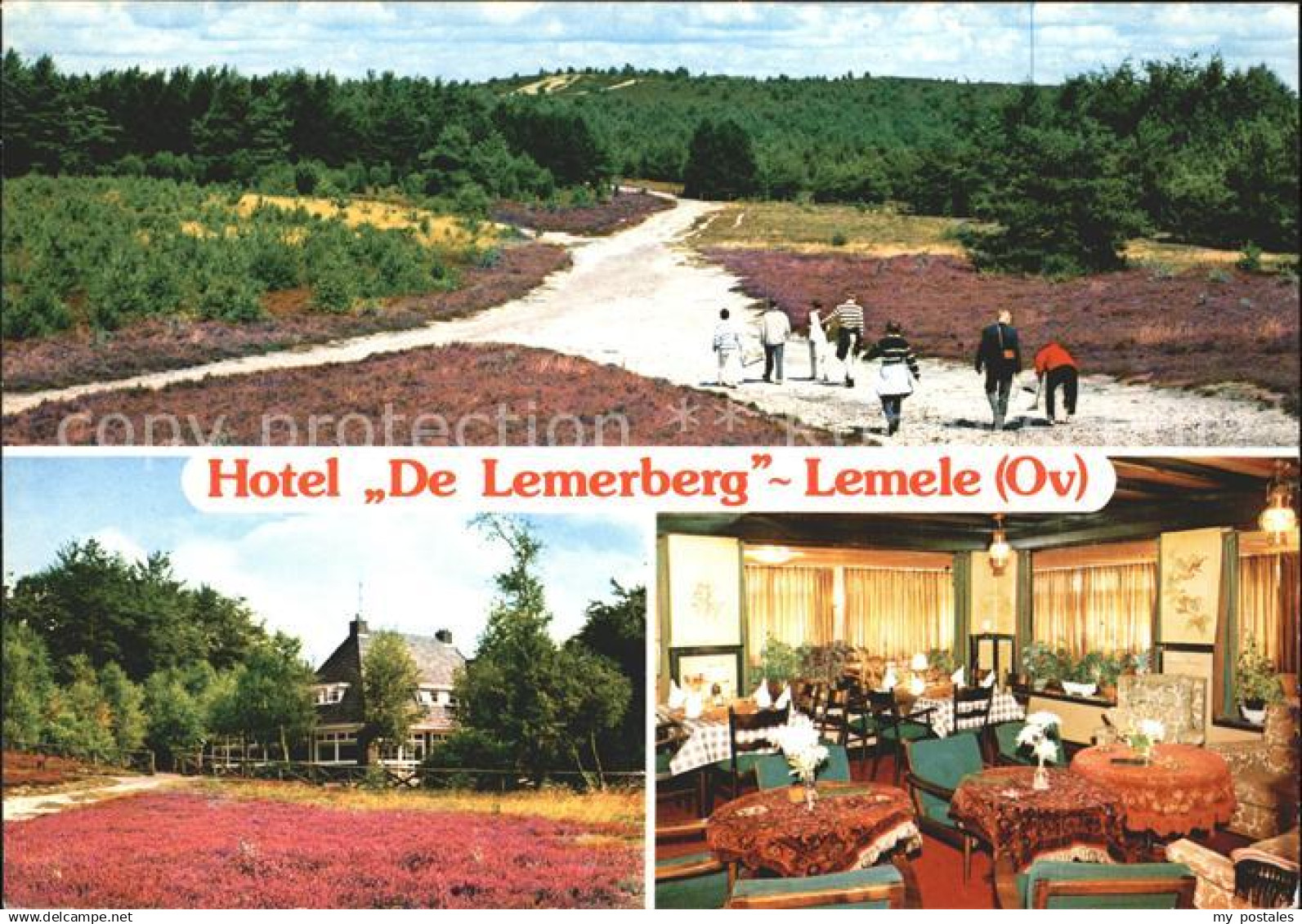 71954024 Ommen Overijssel Hotel De Lemerberg