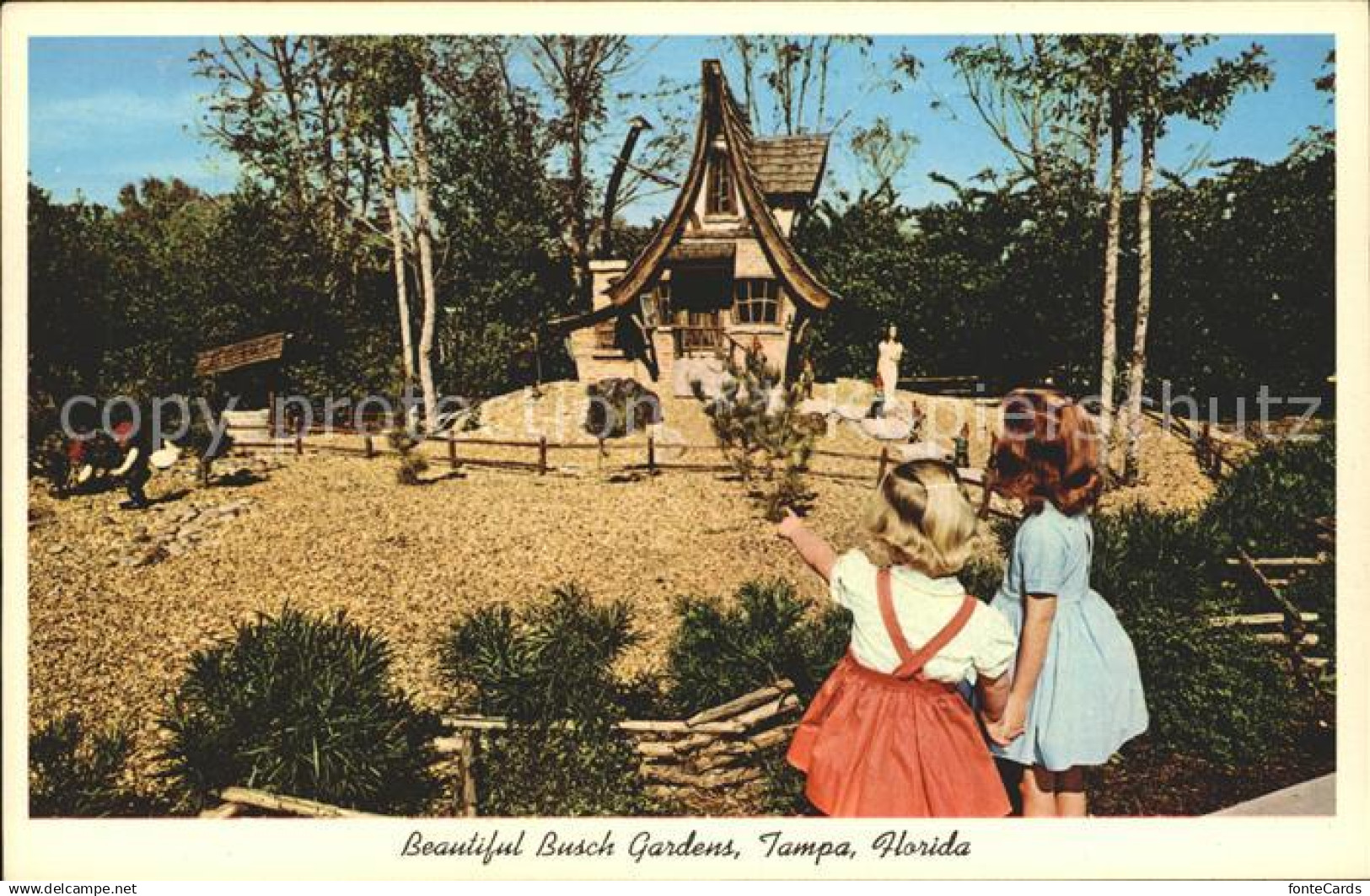 71954713 Tampa Florida Busch Gardens