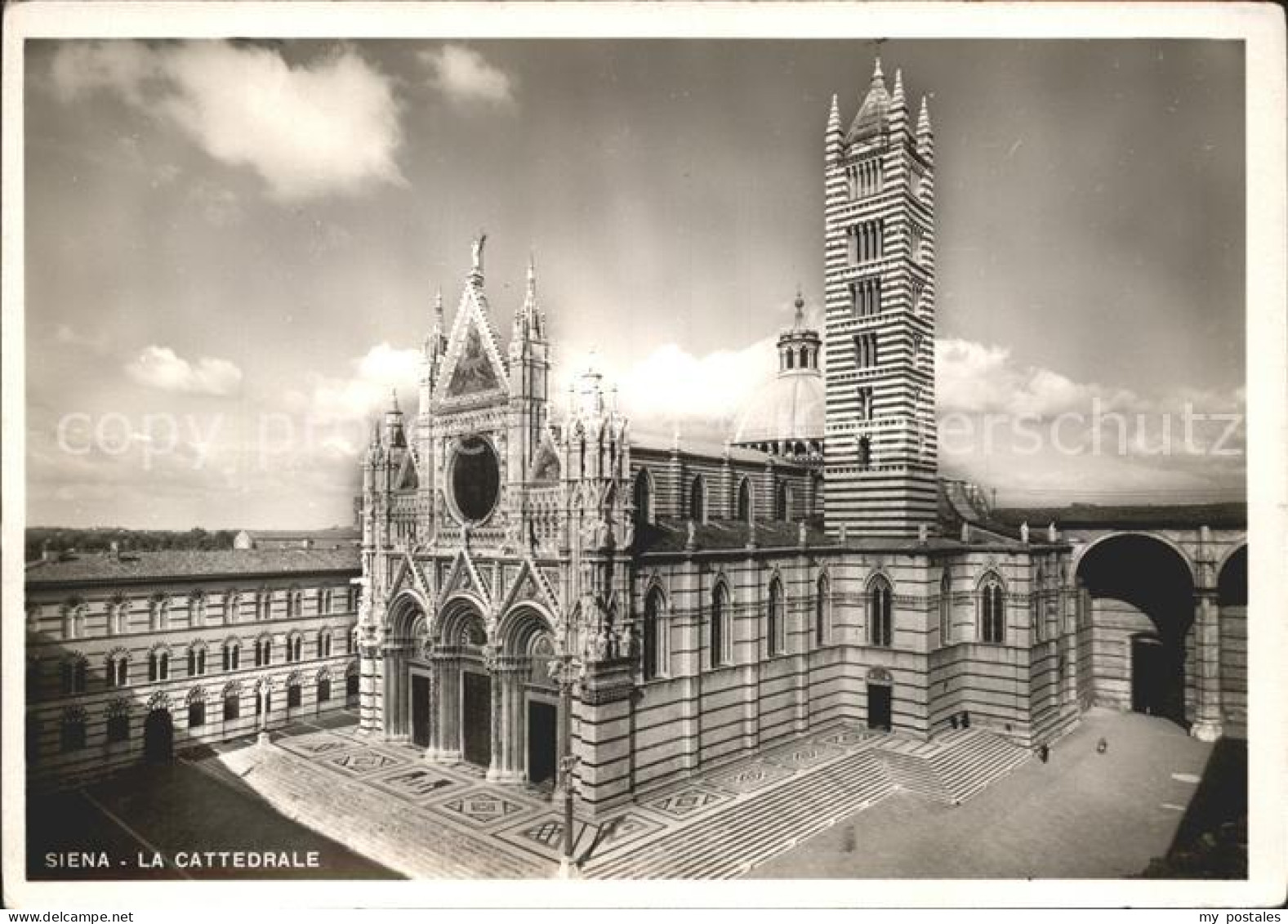 71961999 Siena Cattedrale Siena