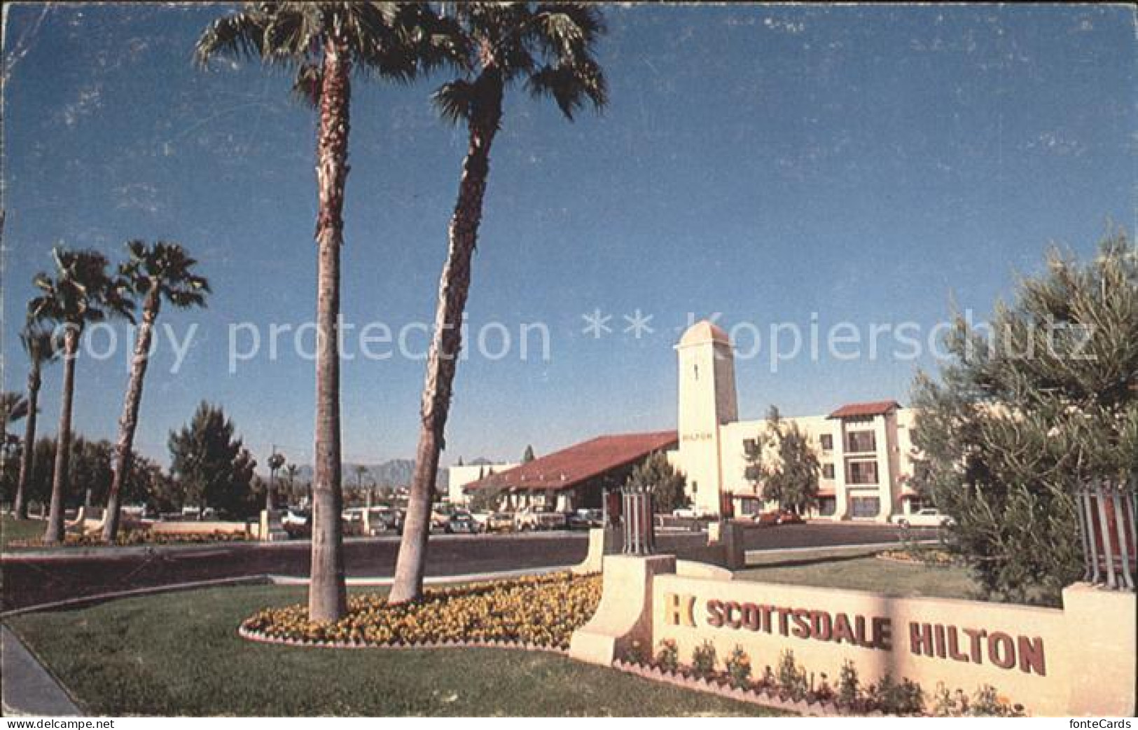 71969282 Scottsdale Hilton  Scottsdale