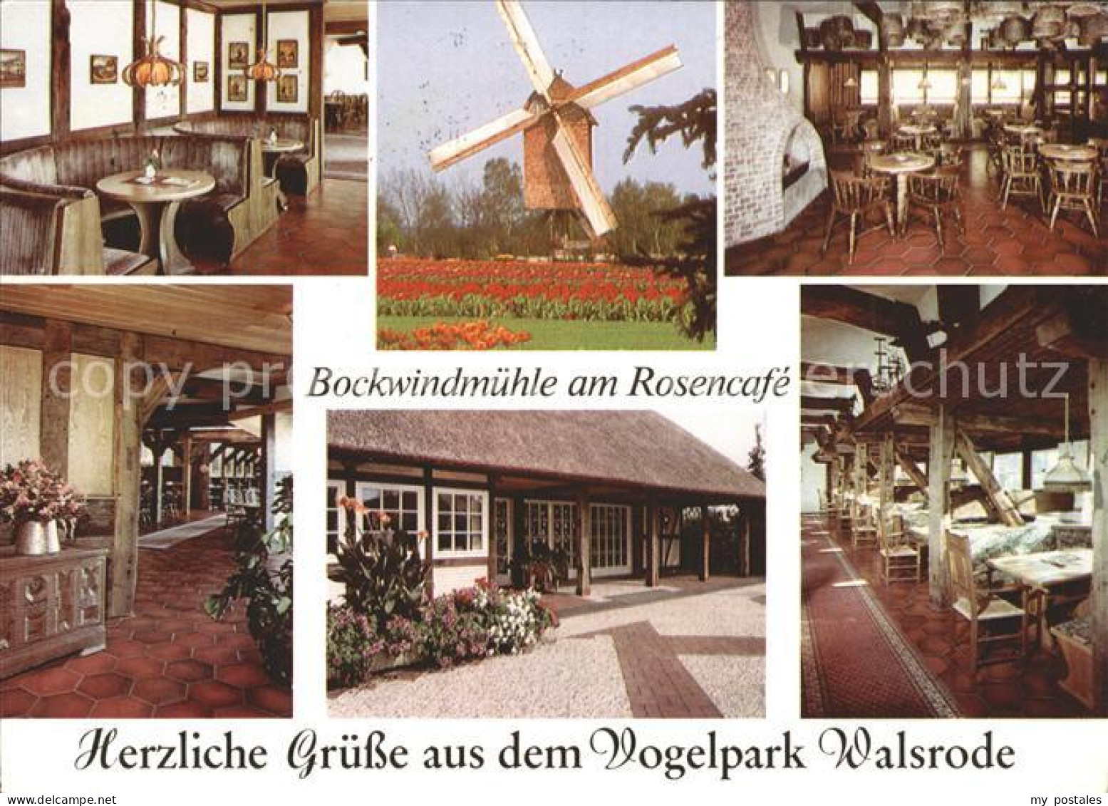 71974268 Walsrode Lueneburger Heide Rosencafe Walsrode Lueneburger Heide