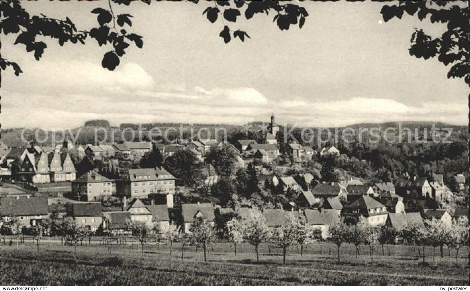 71980119 Marienberg Westerwald Gesamtansicht Luftkurort Obstwiese Bad Marienberg