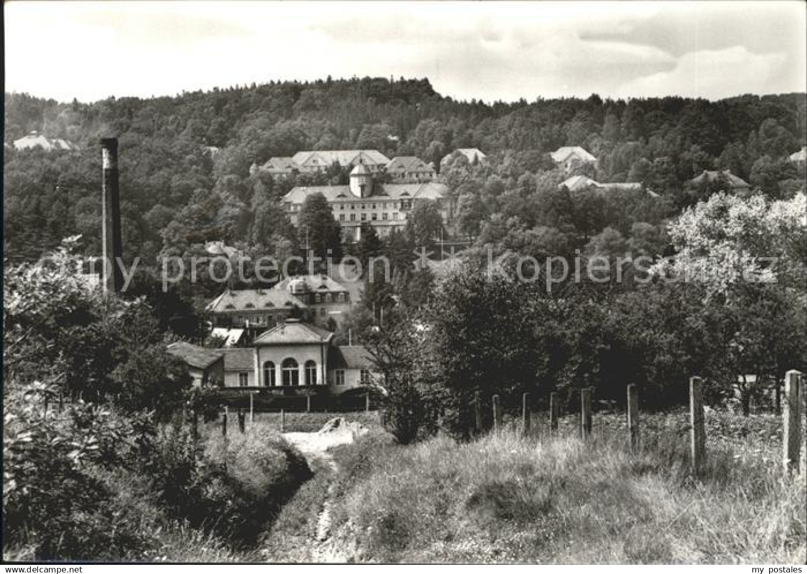 71981819 Bad Gottleuba-Berggiesshuebel