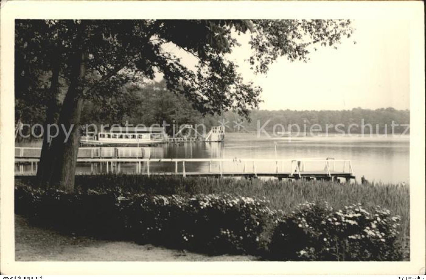 71982280 Bad Saarow Bootsanlegestelle Scharmuetzelsee Bad Saarow