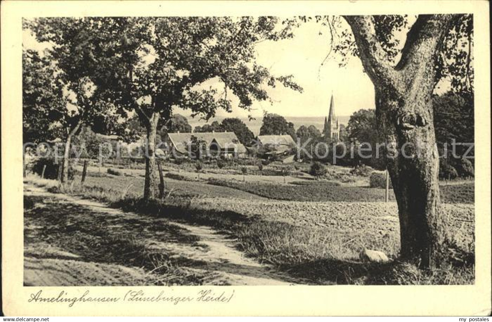 72028624 Amelinghausen Lueneburger Heide Panorama Lueneburger Heide